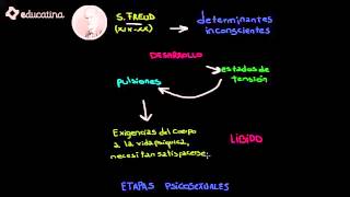 Teorías del desarrollo Psicoanálisis Conductismo y Gestalt [upl. by Egduj]