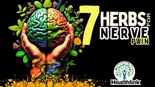 7 Incredible Herbs For Nerve Damage Prevent Neuropathy herbs neuropathy mentalhealth [upl. by Namwen56]