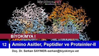 BİYOKİMYAI  Konu 12 Amino Asitler Peptidler ve ProteinlerII [upl. by Illa]