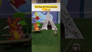 The year of the camelids theme🐪⛺🏜 for childrens day shorts preschool teamwork decorationideas [upl. by Ennoitna]