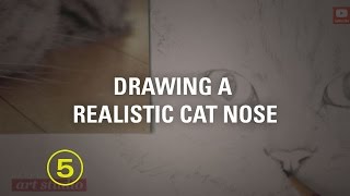 Draw a Natural Realistic Cat Nose [upl. by Curcio445]