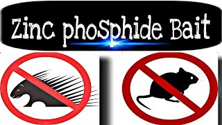 ZINC PHOSPHIDE BAIT  HOW TO CONTROL MICE RATS amp PORCUPINE [upl. by Alphonsine]