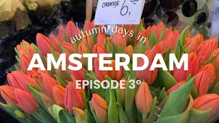 Travel Diaries  EP 3 ⋆ Autumn days in AMS🍁Bloemenmarkt Begijnhof Lover Cruise Winkel 43 Vlog [upl. by Gagliano]