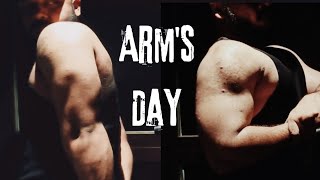 Arms Day  Biceps and Triceps [upl. by Goddord806]