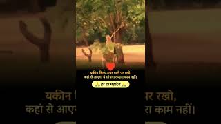 heart touching words whatsapp status video  true love whatsapp status  true words status [upl. by Adoree]