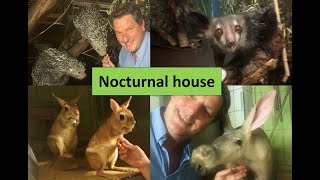 Nocturnal house in Frankfurt Zoo with amazing collection [upl. by Gridley]