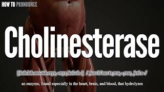 Cholinesterase Pronunciation  How to Pronounce say cholinesterase CORRECTLY  Meaning Definition [upl. by Naomi]