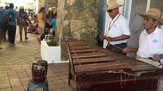 Music from Coxen Hole Cruise Terminal in Roatan [upl. by Neelak]