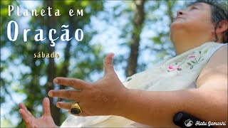 Meditação Xamânica com o Pássaro Interno  PLANETA EM ORAÇÃO  0607 SÁBADO 18h [upl. by Eirelav]