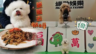 新年好去處🧨猛龍個MALL🐲多國菜餐廳分享【小腳掌大世界🐾】 [upl. by Yerffe484]