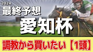 【愛知杯2024】追い切りから買いたい1頭！ミッキーゴージャス、セントカメリアも人気だが本命はあの馬に！ [upl. by Nala]