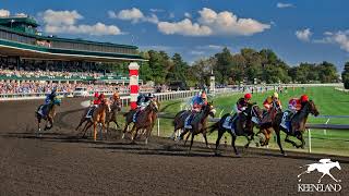 Jeremy Plonks Keeneland Sunday Preview  October 20 2024 [upl. by Ellesig]