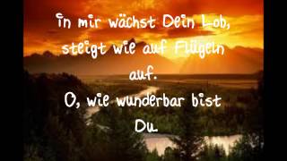 Du siehst die wunden Danny Plett Lyrics mit Text [upl. by Eirrehc]