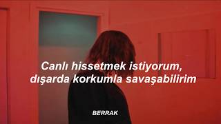 Billie Eilish amp Khalid  Lovely Türkçe çeviri [upl. by Dewitt683]