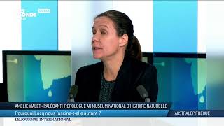 Le journal international  Lactualité internationale du jeudi 14 novembre 2024  TV5MONDE [upl. by Hernandez748]