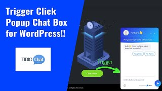 Creating Trigger Online Chat for WordPress with Tidio Chat [upl. by Tahp]