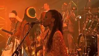 Tiken Jah Fakoly  Live in Paris 2008 [upl. by Refinnaej443]