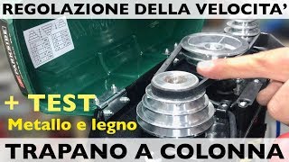 Come cambiare la velocità del trapano a colonna Pulegge cinghie e Mandrino PARKSIDE Lidl PTBM [upl. by Htez152]