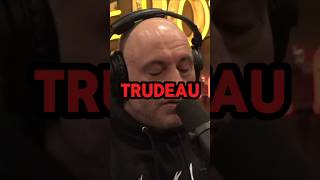 Joe rogan reacts to Trudeau getting donations from CHINA [upl. by Oniotna]