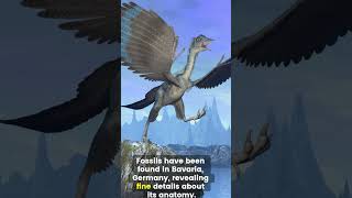 Archaeopteryx Facts Nature’s Missing Link archaeopteryx fascinatingfacts wildlife [upl. by Leinad]