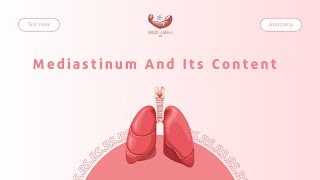 Mediastinum And Its Content  Anatomy [upl. by Winthorpe]