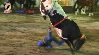 Â¡Â¡ESTOS TOROS ANDAN IMPARABLES Rancho PuentePiedra En Tilzapotla Morelos 2024 [upl. by Aimo291]