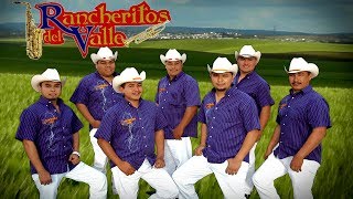 Rancheritos Del Valle  En Vivo Fiestas De Masiaca Disco Completo [upl. by Coben449]