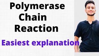 Polymerase Chain Reaction  PCR in Microbiology [upl. by Theis]