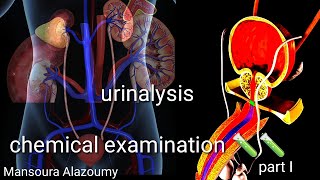 Urinalysis chemical examination 🧪🧪 [upl. by Merrill787]