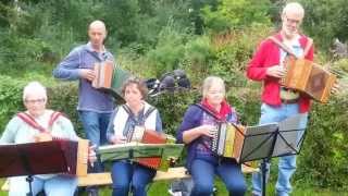 Samenspel trekzak festival Zwolle accordeon diatonic [upl. by Euqilegna]