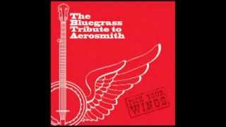 Janies Got A Gun  The Bluegrass Tribute to Aerosmith Pick Your Wings [upl. by Rossner653]