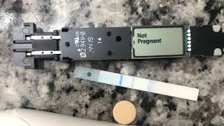 Pregnancy test review live pregnancy test [upl. by Woodruff]