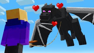 How I Tamed the Ender Dragon [upl. by Bein]