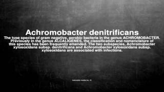 Medical vocabulary What does Achromobacter denitrificans mean [upl. by Nilya114]