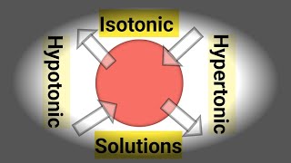 IsotonicHypertonicHypotonic Solutions Difference in Isotonic Hypotonic amp Hypertonic Solutions [upl. by Hutner]