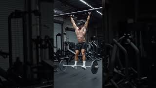 Hanging barbell core workout can you like this Dmkfitnesstube [upl. by Sul593]