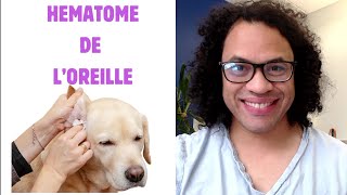 Un Produit naturel contre lhématome de loreille [upl. by Gytle]