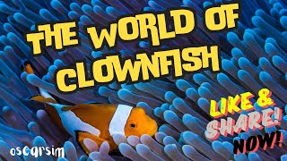 The Fascinating World of Clownfish Natures Little Wonders 🌊 [upl. by Leziar]