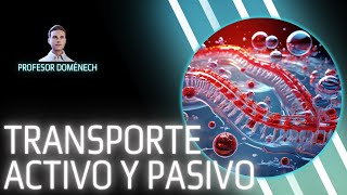 Los secretos del TRANSPORTE ACTIVO y PASIVO en bacterias [upl. by Huberty]