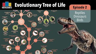 Evolutionary Tree of Life  Episode 2  Reptiles amp Birds [upl. by Libbna]