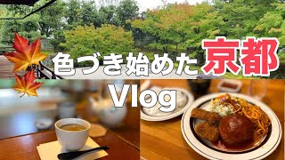 京都Vlog🍁紅葉が始まる庭園に癒される秋の京都！日帰り観光Vlogで巡るおすすめスポット [upl. by Manfred538]