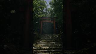 Torii Gate  Unreal Engine 5 [upl. by Ralat312]