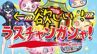 【ぷにぷに】ラスチャンガシャ！仮面マネージャーやっぱり欲しい🤤未所持3体！アイドルロワイヤルガシャ！！！【妖怪ウォッチぷにぷに】 [upl. by Silloc]