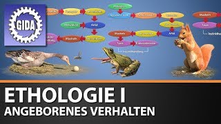 Trailer  Ethologie  angeborenes Verhalten  Biologie  Schulfilm [upl. by Magda569]