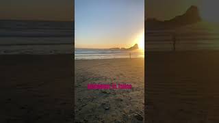 Splendour in Tofino travel beach tofino britishcolumbia hiking sunset [upl. by Bruckner]