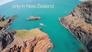 Akaroa Harbour Nature Cruise 30 second highlight [upl. by Coke]