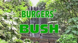 Burgers Zoo  Bush [upl. by Renferd576]