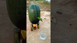 Survival skills steam bad water in watermelon bushcraft camping outdoors [upl. by Enitsua]