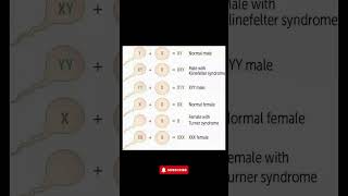 Understanding Chromosomal Disorders Klinefelter Turner Syndrome amp More Explained [upl. by Alfonso]