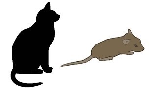 CAT GAMES  MOUSE HUNT FOR CATS ONLY [upl. by Sidonnie144]